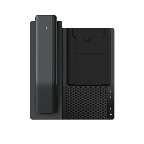 DB20-H All-in-one Phone Station